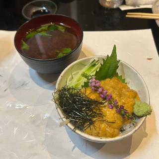 生うに丼、豆腐の味噌汁