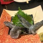 天使のえびの刺身