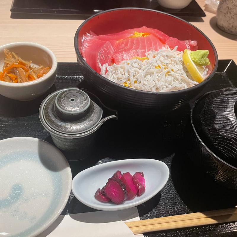 鮪しらす丼(お魚と地酒 魚舟 本町)