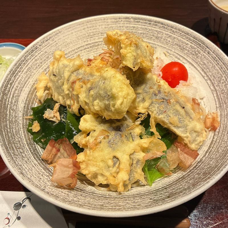 揚げなすおろしそば(ほりのうち)