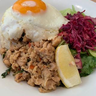 サラダごはん〜ガパオ•ガイ