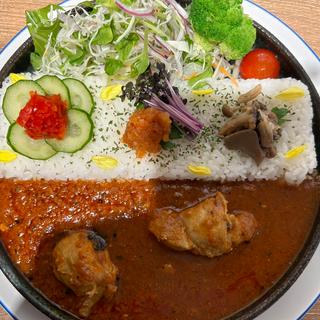 辛口スパイスチキンカレー