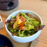 朝どれ野菜のサラダ自家製ごまドレッシング
