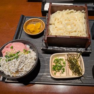 稲庭うどんと2色丼