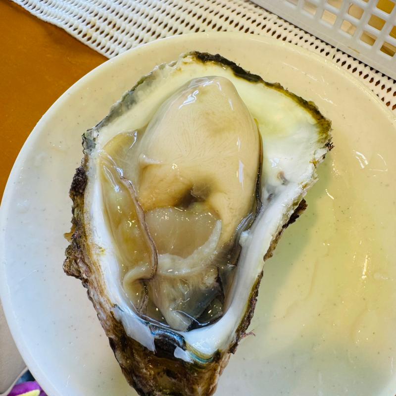 牡蠣(寺泊中央水産 )