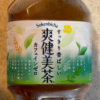 爽健美茶・2L