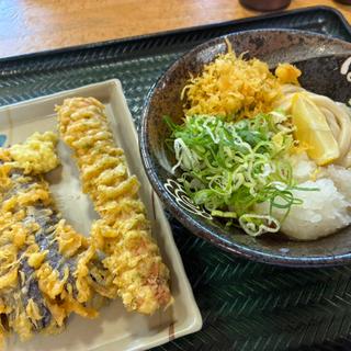 本日の三品