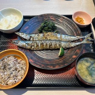 生さんまの炭火焼き