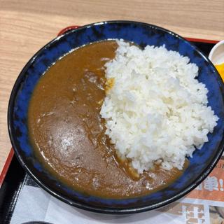 ミニカレー(中辛)