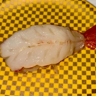 特選大生えび