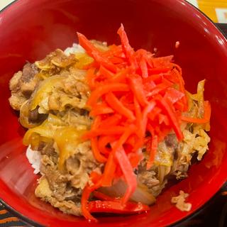 あかね風牛丼セット