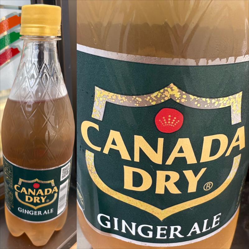 CANADA DRY・GINGER ALE(セブン-イレブン 横浜榎が丘店)