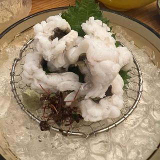 ハモの湯引き