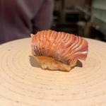 索餌ニシン