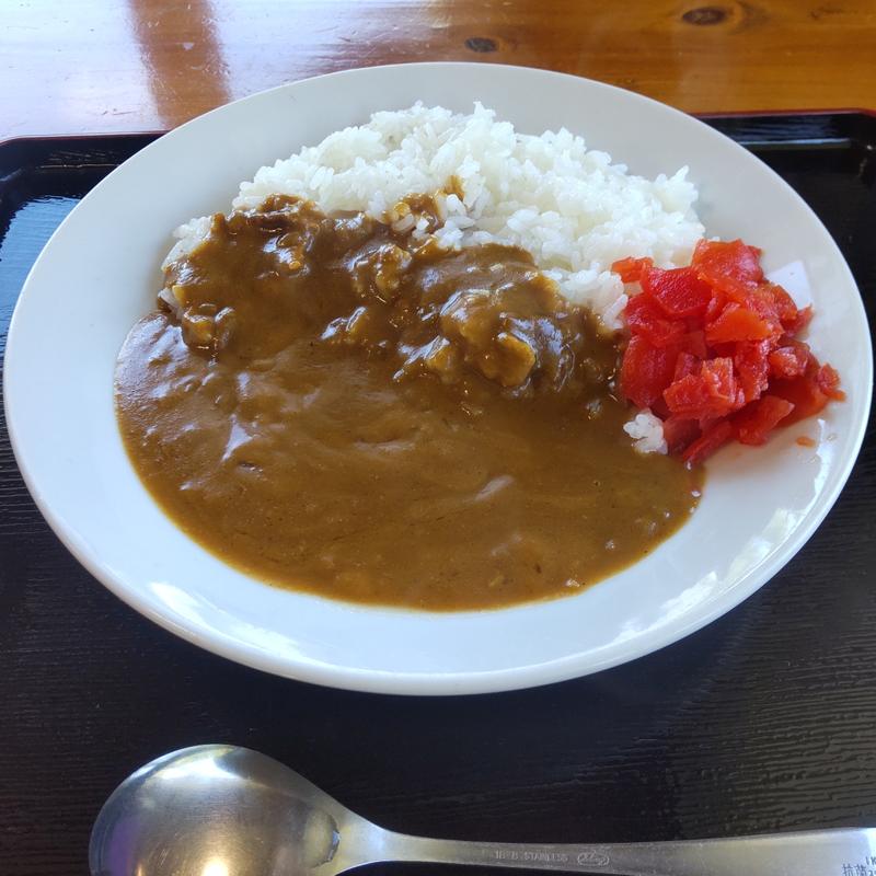 カレーライス(岩洞湖レストハウス )