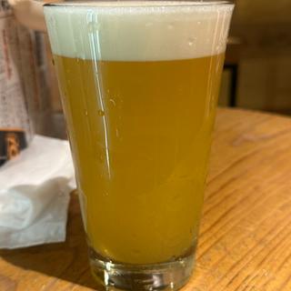 HoyaBoya ver4.9(Black Tide Brewing)(BEER STAND molto!! 阪急三番街店)