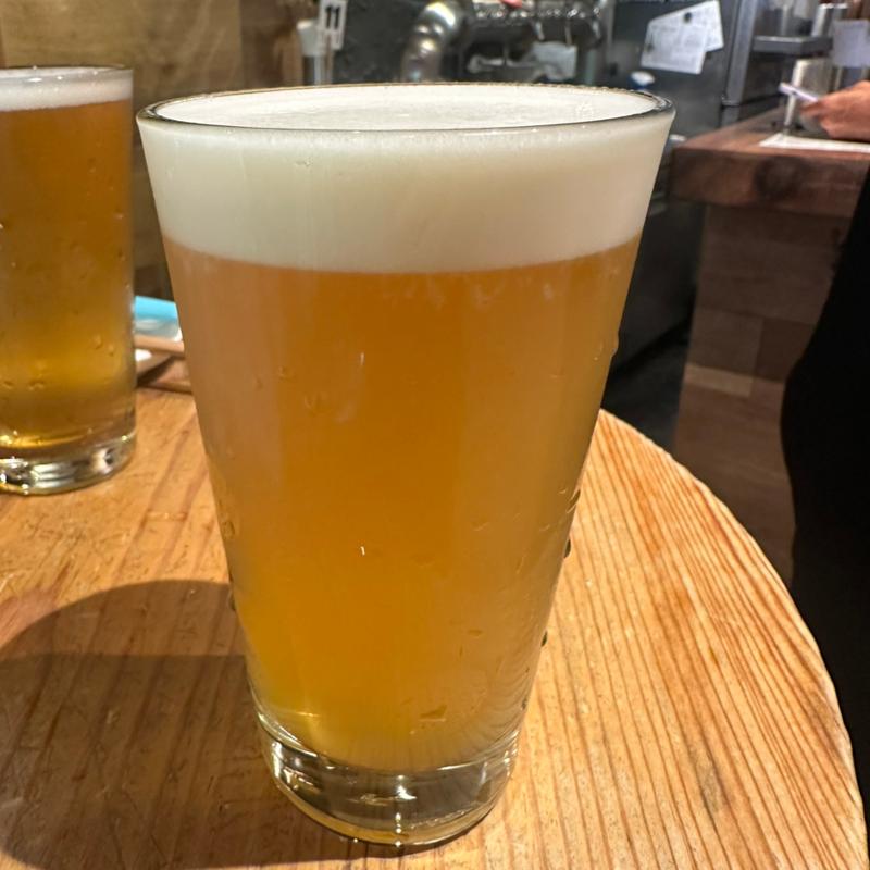 Mosaic Vibes(Y.MARKET BREWING)(BEER STAND molto!! 阪急三番街店)