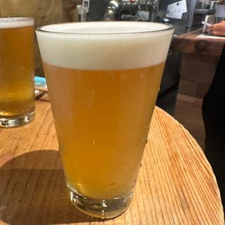 Mosaic Vibes(Y.MARKET BREWING)(BEER STAND molto!! 阪急三番街店)