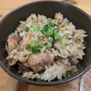 サバ味噌ご飯（本日のおすすめ飯）(中華そば 肴 yamago(ヤマゴ))