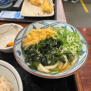 かけうどん