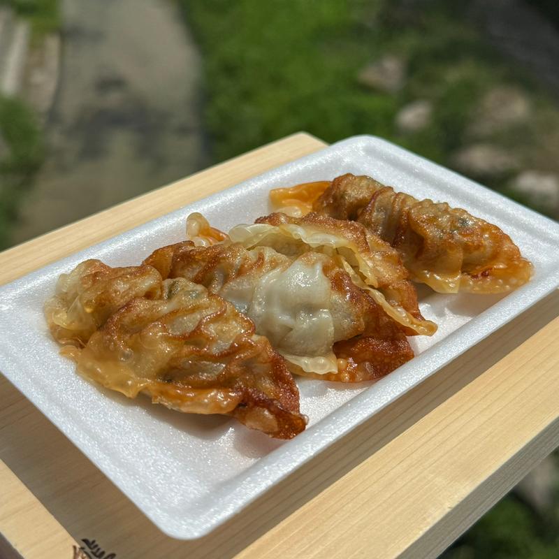 揚げ餃子(ないき商店 )