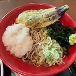 冷やしなす天下そば
