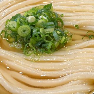 かけうどん