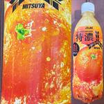 ASAHI・特濃・オレンジスカッシュ