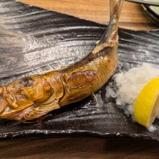 大トロいわしの原始焼き(炉端焼きHOTARU)