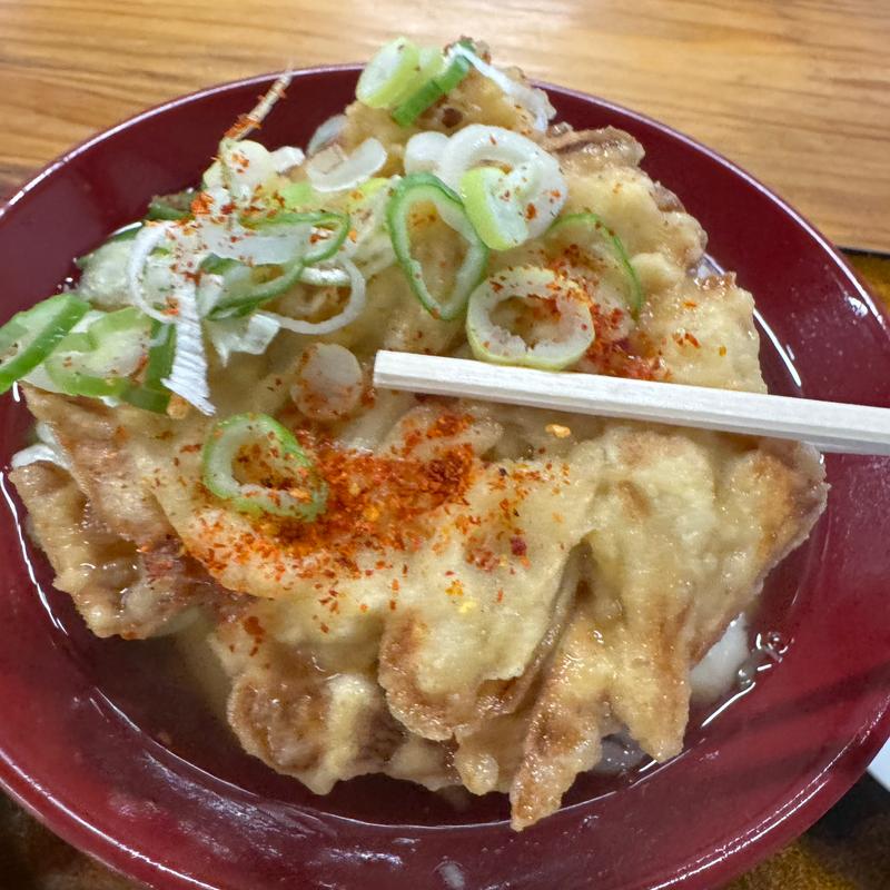 ごぼう天うどん(おくのうどん店 )