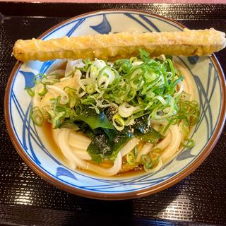 冷やしぶっかけうどんごぼう天トッピング