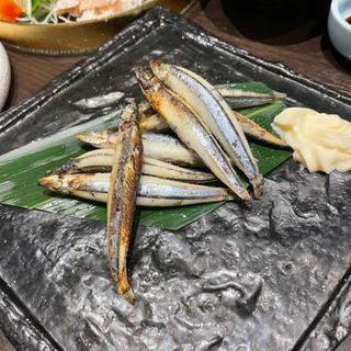 きびなご焼き(鮮味・鉄板酒場いっとく本店)