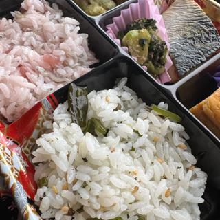 彩りごはん弁当