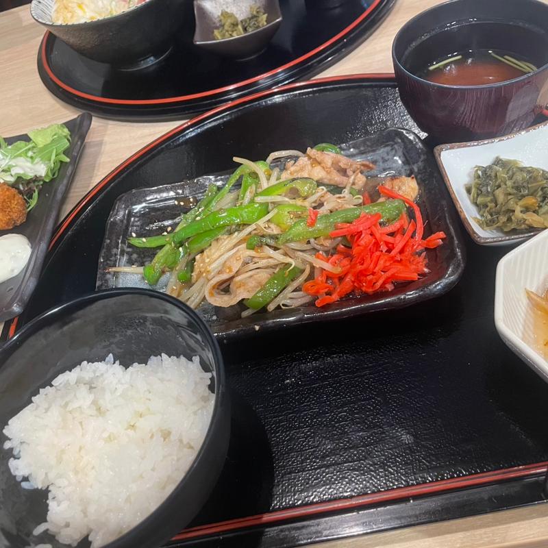 豚ピーマン炒め定食(羅漢 平野町店 )