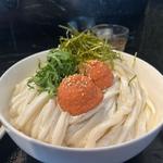 冷し明太クリームうどん(うどん居酒屋 まさか)