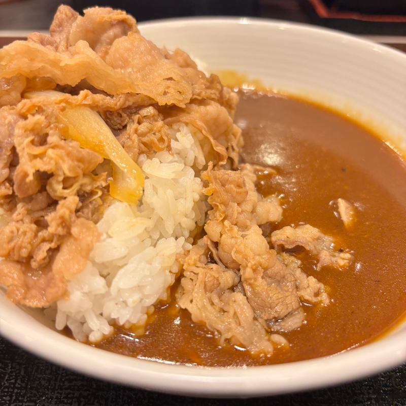 牛スパイシーカレー(吉野家 聖蹟桜ヶ丘駅店)