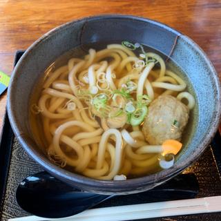 屋久島うどん