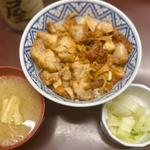 とりどん定食