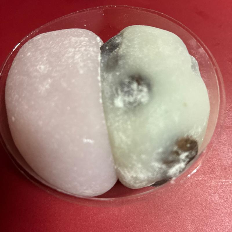 長生餅(六花亭 札幌本店)