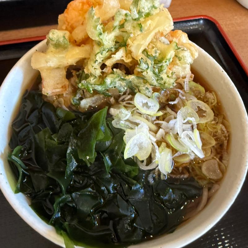 特製かき揚げそば(なすび)