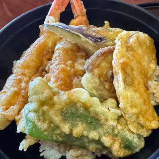 天丼セット(十兵衛うどん 高城店　匠の茶屋 )