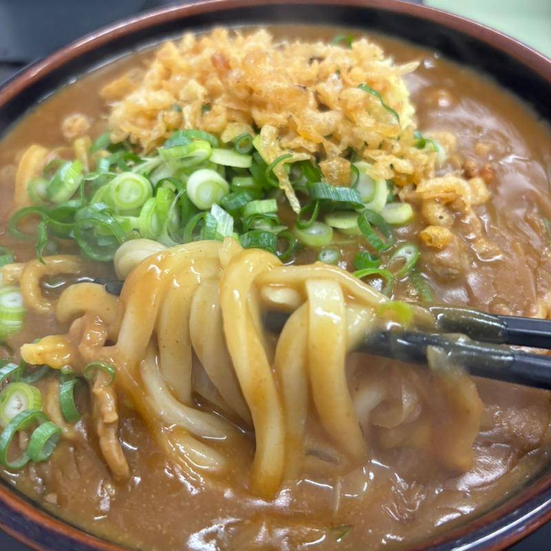 おやカレーうどん大(麺八 )