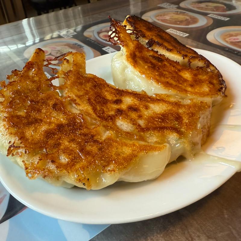 (手打ち佐野ラーメン 佐野屋)