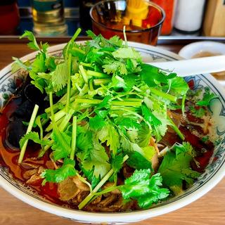 薬膳香辛　大辛　パクチートッピング