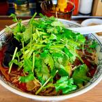 薬膳香辛　大辛　パクチートッピング