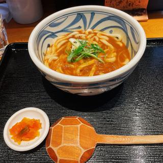 特製カレーうどん