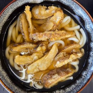 ゴボウ天うどん