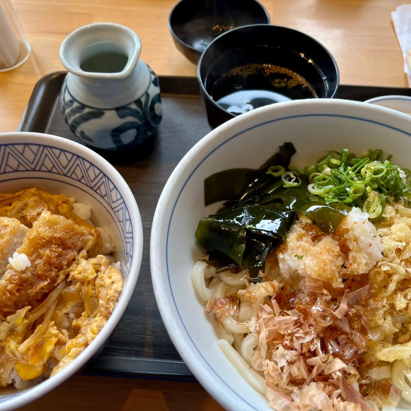 おろしぶっかけ＋ミニかつ丼(ウエスト 山鹿店 )