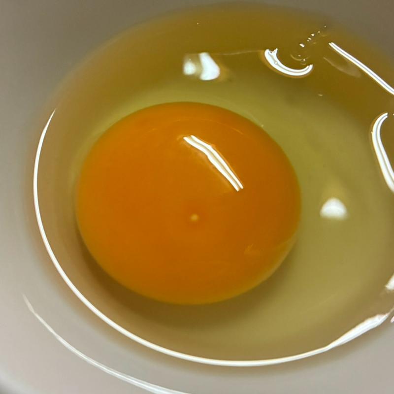 玉子(すき焼き キムラ )