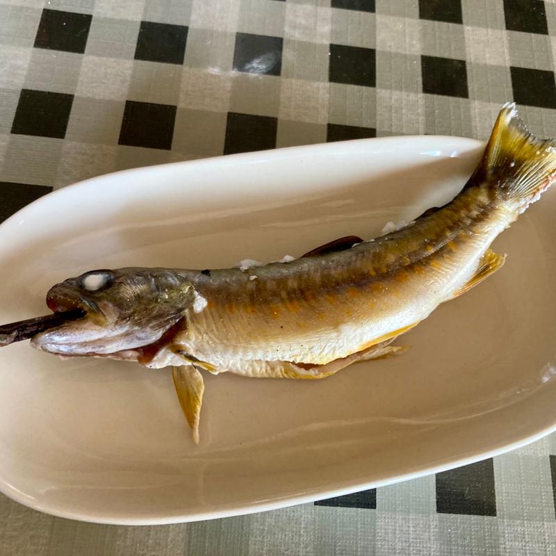 塩焼き（ヤマメ）(羽鳥食堂)